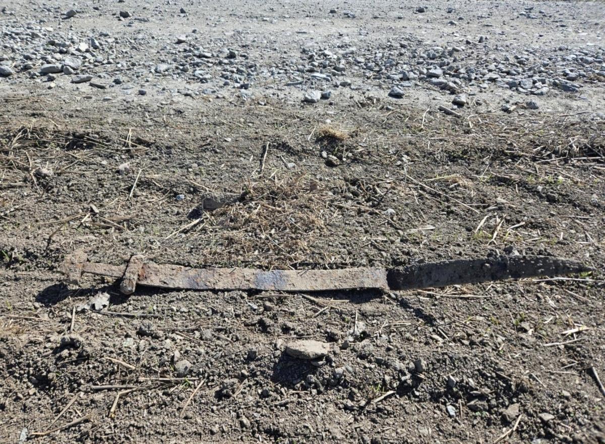 В Норвегии мальчик нашёл меч викингов во время школьной экскурсии (фото) В Норвегии мальчик нашёл меч викингов во время школьной экскурсии (фото)