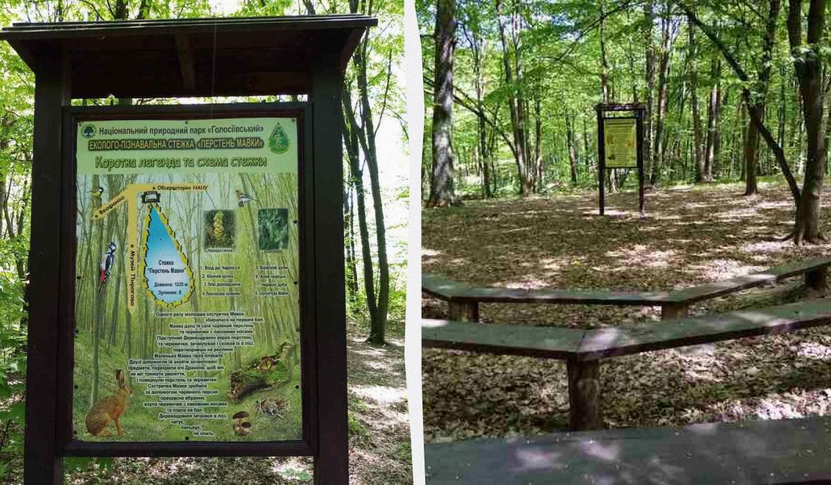 В столичному Голосіївському лісі з'явилася нова екостежка, що ідеально підходить для дітей