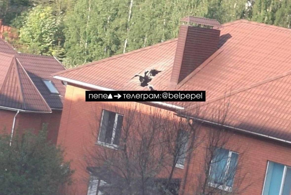 Под Белгородом авиабомба РФ упала на жилой дом: есть жертва