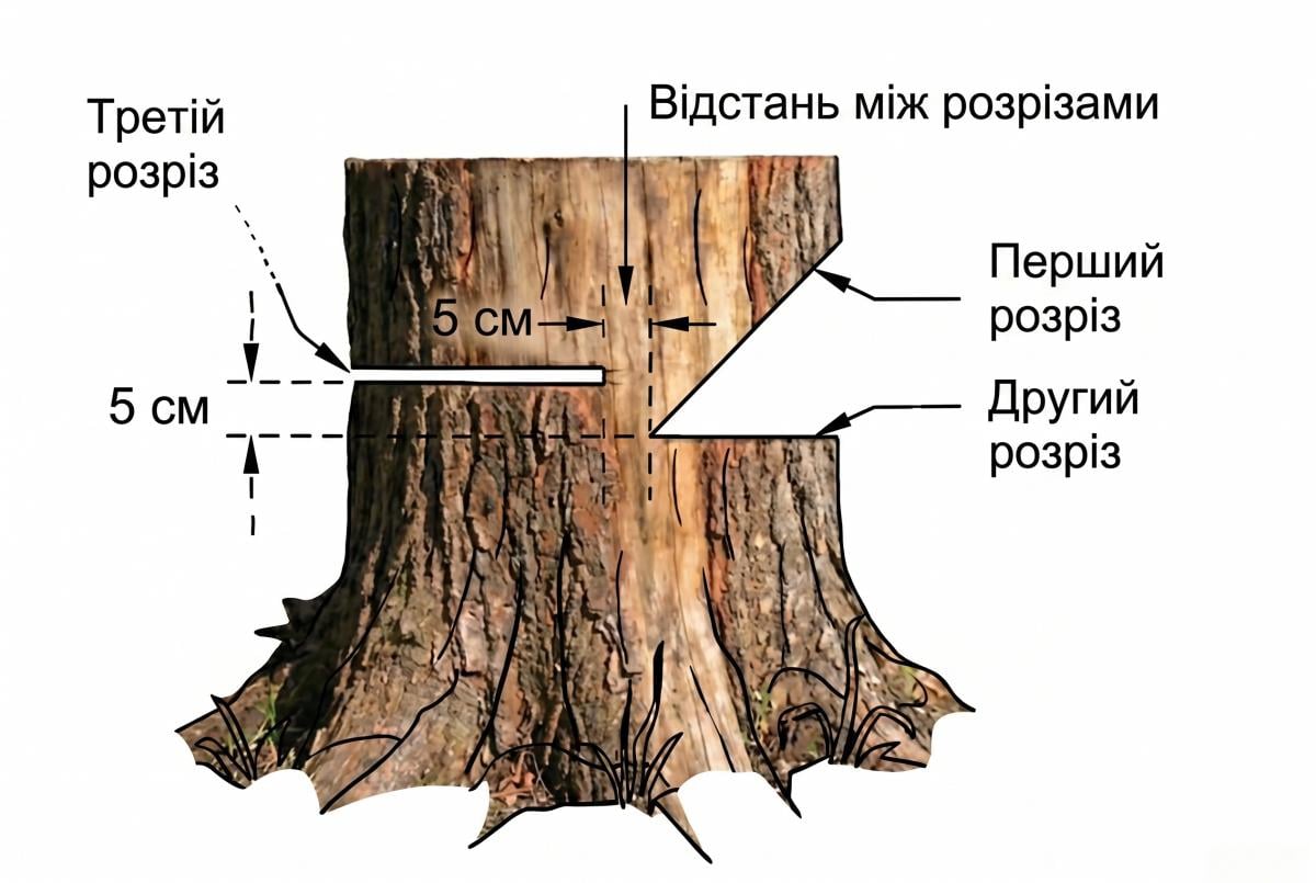 як правильно пиляти бензопилою