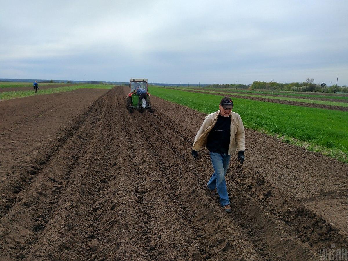 Ціни на землю в Україні переписали: скільки коштує один гектар зараз