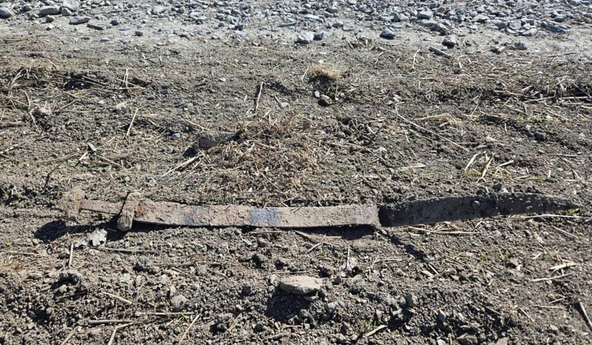 В Норвегии 6-летний школьник случайно нашел 1300-летний меч (фото) В Норвегии 6-летний школьник случайно нашел 1300-летний меч (фото)