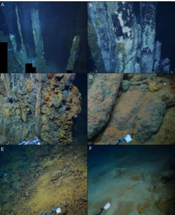 Вчені відправили робота на дно Карибського моря і виявили щось абсолютно несподіване Вчені відправили робота на дно Карибського моря і виявили щось абсолютно несподіване