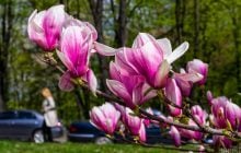 На выходных погода в Украине круто изменится