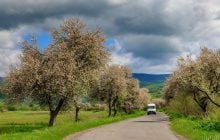 3 травня до України прийде 20-градусне тепло