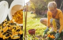 6 видов рыбы, в которой много витамина D