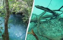 Моторошна "хмара" під водою: що приховує 60-метрове провалля у Мексиці