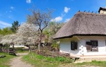 Садок вишневий коло хати: травень – ідеальний час завітати до музею в Пирогові (фоторепортаж)