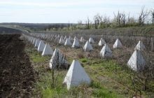 Будують багато рівнів фортифікацій: Україна посилює оборону на кордоні з Придністров’ям