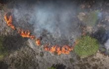 В Европе вспыхнули многочисленные необычные пожары: что произошло