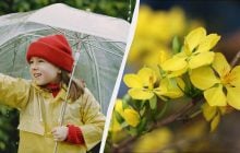 Свято 7 травня 2026 року: що відзначають в Україні та що варто взяти у сусідів