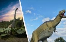 Растительноядный гигант: в Китае обнаружили вид динозавра, который жил 190 млн лет назад