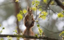 Напередодні вихідних у Києві стане свіжіше, спека відступить