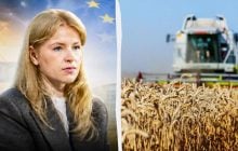 Исчезнут ли целые отрасли агросектора после вступления Украины в ЕС: ответ эксперта