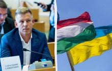 Лише 12% підтримали ЗСУ: опитування показало ставлення прихильників Мадяра до України
