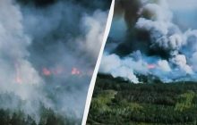 На прикордонні Чернігівщини через обстріли РФ вирує масштабна лісова пожежа (відео)