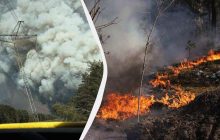 Біля Чорнобиля вирує масштабна лісова пожежа: чи є радіаційна загроза (фото)