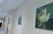 В одній із країн ЄС пропонують платити українкам за народження дітей: що відомо