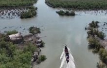 У річках Іраку стало більше води: Reuters пише про відновлення біблійних боліт Едему