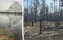 Біля Чорнобиля поширилася масштабна пожежа: найскладніша ситуація на березі Прип’яті