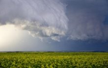 12 травня Україну охоплять дощі та грози: де буде мокро