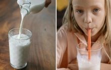 Можно ли пить молоко каждый день: врачи объяснили, кому нельзя