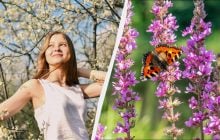 Одразу два свята в Україні: чим цікаве 18 травня та що зробити для міцного шлюбу