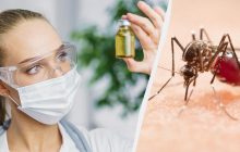 Ученые обнаружили новое средство против комаров: что отпугивает вредителей