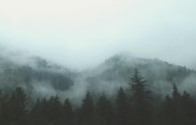 Туман является целой средой обитания и незаметно очищает воздух от загрязнений, - ученые