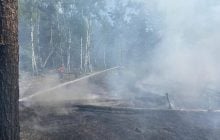 В районе Чернобыля вспыхнули новые масштабные пожары: в чем причина