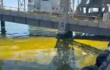 В Черноморске российский дрон остановил работу американского масличного завода, - СМИ
