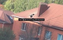 Под Белгородом авиабомба РФ упала на жилой дом: есть жертва
