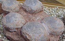 Во Франции обнаружили более 100 целых яиц динозавров: как они там оказались