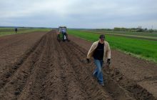 В Україні переписали ціни на землю: скільки зараз коштує гектар