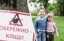 Як захиститися від кліщів: лісники назвали два підручні засоби