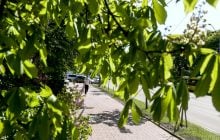 22 травня в Києві буде найтепліший день тижня, попереду – похолодання