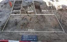 Археологи знайшли скелет тварини віком 1000 років: про що він "розповів" (фото)