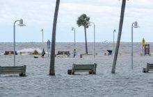 Уже в этом столетии: крупный город в США стремительно уходит под воду