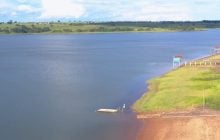 Реку в Бразилии блокируют гигантские водоросли: лодки не могут пройти, причалы разрушаются