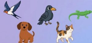 Какое вы животное или птица: психологический тест для раскрытия потенциала вашей личности