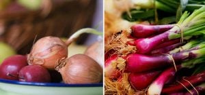 Где хранить лук, чтобы пролежал 3 месяца: вы кладете его не туда