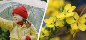 Праздник 7 мая 2026: что отмечаем в Украине и что нужно взять у соседей сегодня