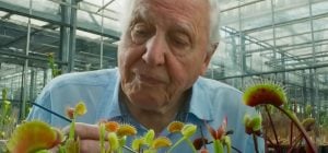 Телеведущий поделился одной привычкой, которая помогла ему дожить до 100 лет