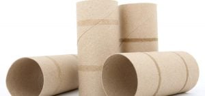 Рулоны от туалетной бумаги могут пригодиться в саду: эксперт поделился лайфхаками