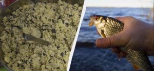 Карасі кидаються на цю приманку в червні як шалені: не встигаю знімати з гачка