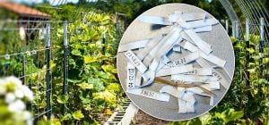 Більше не викидаю пластикові затискачі для хліба: ось як їх використовую на городі