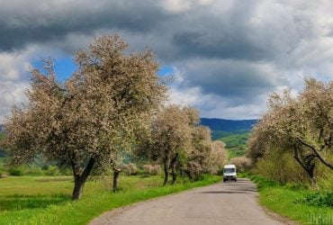 3 травня до України прийде 20-градусне тепло