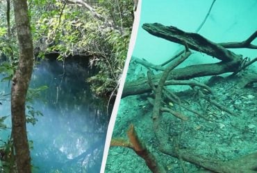 Моторошна хмара під водою: що приховує 60-метрове провалля у Мексиці