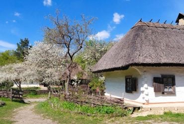 Садок вишневий коло хати: май – идеальное время для посещения музея в Пирогово (фоторепортаж)