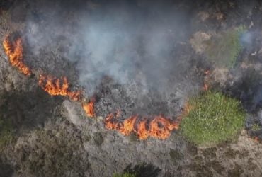 В Европе вспыхнули многочисленные необычные пожары: что произошло